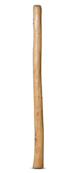Medium Size Natural Finish Didgeridoo (TW512)
